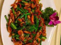 -墨脱石锅椰子鸡•香草鸭•东山羊(大东海店)