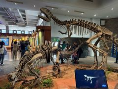 -自贡恐龙博物馆