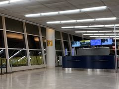 -约翰·菲茨杰拉德·肯尼迪国际机场