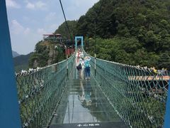 -梦幻奥陶纪景区