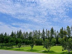 -前小桔亲子创意农场·草莓采摘·露营烧烤