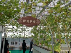 -迪茵湖田家舍生态农场