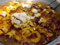 -雲蜀龙阁·金牌水煮鱼(方庄店)