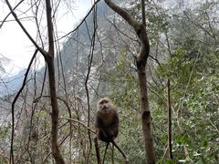 -九峰山