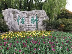 -上海鲜花港