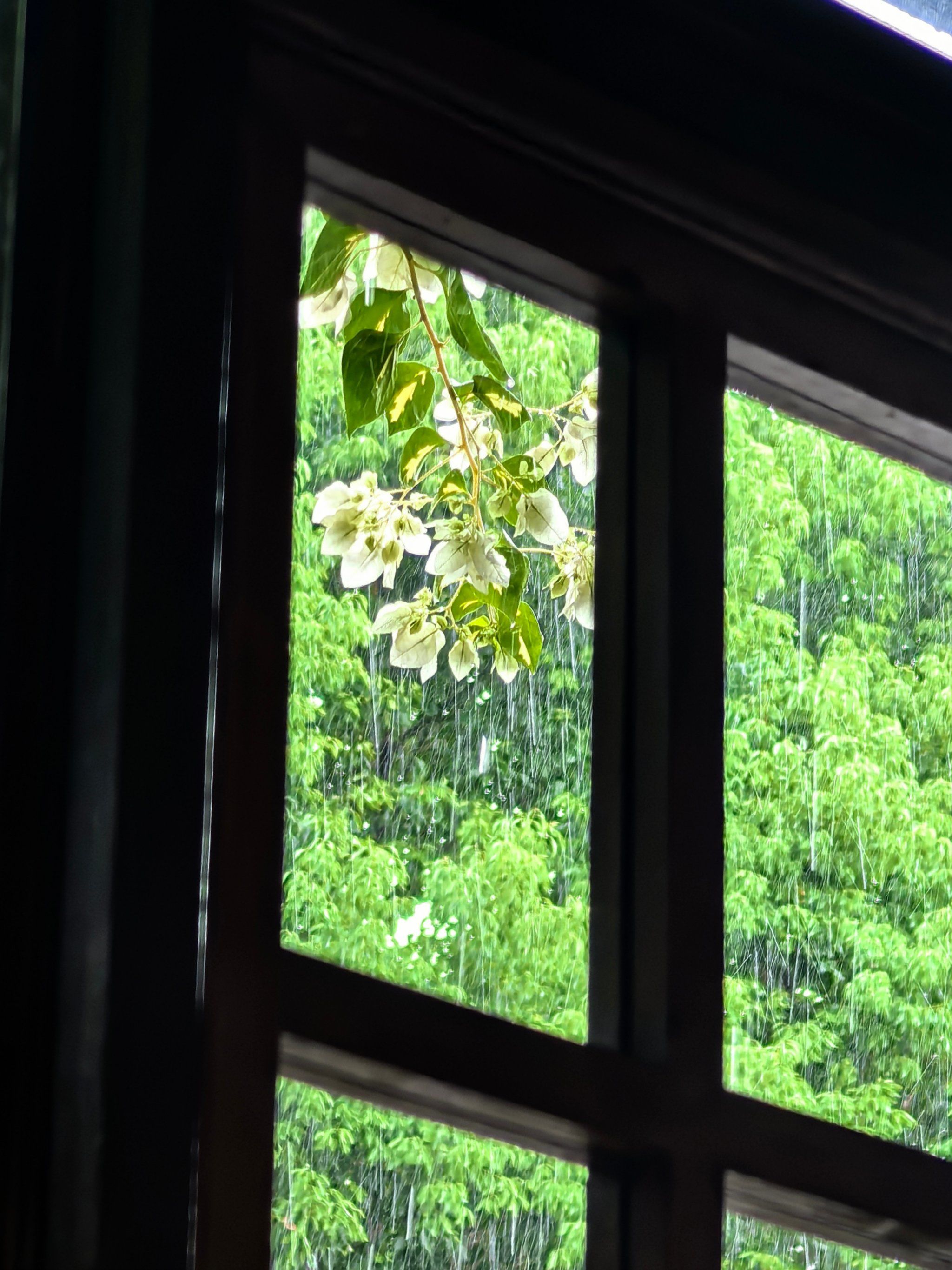 和窗外的景色对话