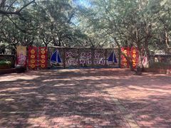 -北海金海湾红树林生态旅游区