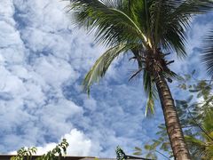 -亚马逊丛林水乐园