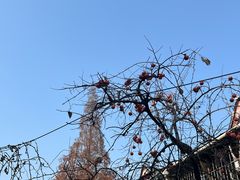 -晓马鸭店(新芜路店)
