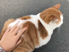 -中央财经大学-图书馆