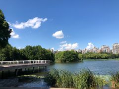 -新江湾城公园