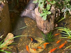 -天回镇何氏豆腐(总店)