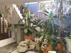 -碧丽宫大酒店(召稼楼店)