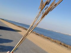 -海底捞火锅(曼巴特广场店)