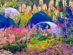 -广州市白云山风景名胜区