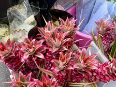 -循礼门鲜花花市(武汉循礼门店)