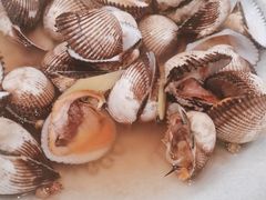 -北塘海鲜·天津菜(大光明桥旗舰店)