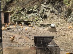 -途中饭店(开化店)