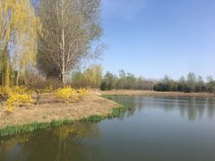 -东郊湿地公园