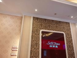 -SILKTONE诗丽堂美容