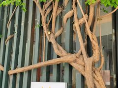 -纳地素食(石门公园店)