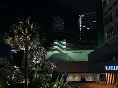 -新加坡文华东方酒店