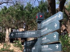 -延安杨家岭革命旧址