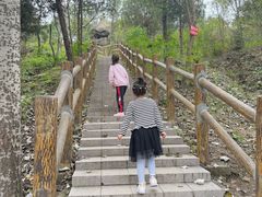 -白水寺森林公园