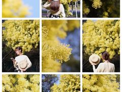 -厦门国家会计学院