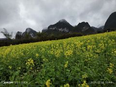 -靖西鹅泉风景区