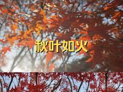 -南山风景名胜区