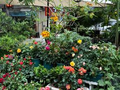 -山水茶艺馆·点心粤菜·30年老字号