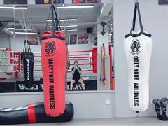 -TFC 纯泰拳馆MuayThai