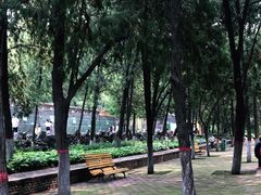 -保定市动物园