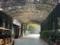 -J Create城市露营咖啡·简餐·宠物(上海动物园店)