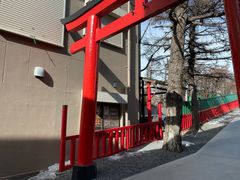 -富士山吉田線五合目