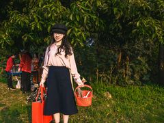 -铁山坪森林公园