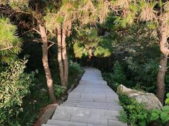 -冶父山国家森林公园