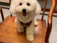 -博特宠物医院24h犬猫全科.骨科·异宠