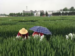 -西北农林科技大学(北校区)