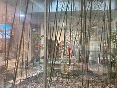-袁亮今日陶艺(苹果社区总店)