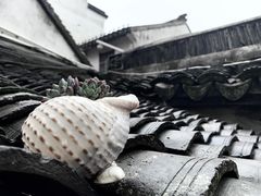 -金山嘴渔村