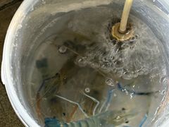 -粮心小农·大头虾亲子生态园(长发店)