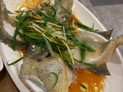 清蒸太阳鱼-大唐靓汤江门私房菜(景田店)