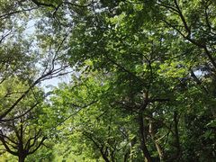 -水濂山森林公园