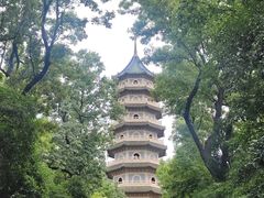 -灵谷景区