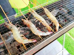 -亲兄弟真人CS团建拓展基地