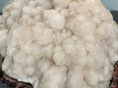 -游龙石文化科普馆