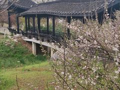 -南山风景名胜区