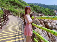 -广东惠东海龟国家级自然保护区